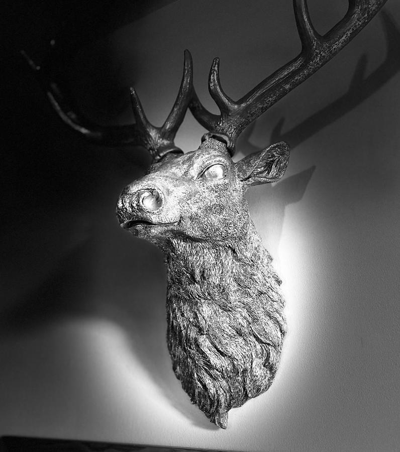 Grey Stag Apartment Nairn Eksteriør billede